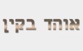 אוהד בקין - ארכיטקט